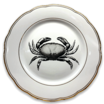 PhotoRoom 20220811 113730 e1660210881623