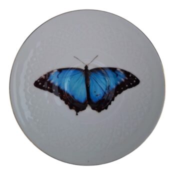 vlinderblauw